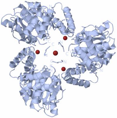 Image Biological Unit 2