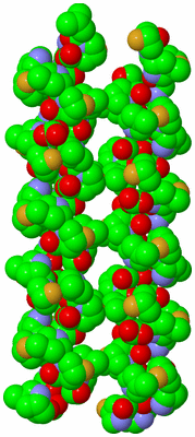 Image Asymmetric Unit