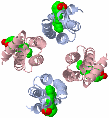 Image Biological Unit 1