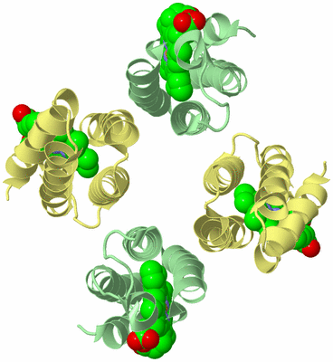 Image Biological Unit 2