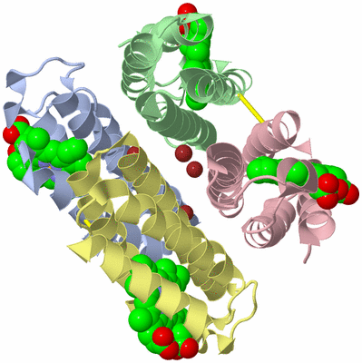 Image Biological Unit 1