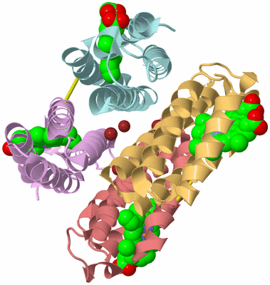 Image Biological Unit 2