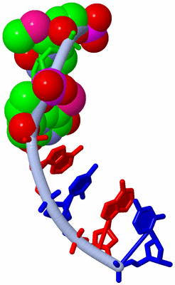 Image Asymmetric Unit