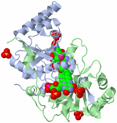 Image Asym./Biol. Unit