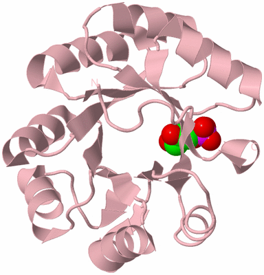 Image Biological Unit 3