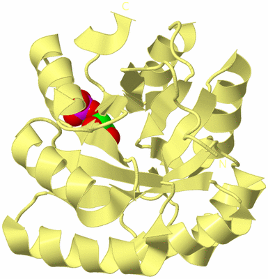 Image Biological Unit 4