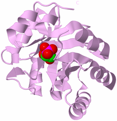 Image Biological Unit 5