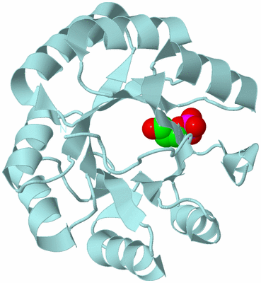 Image Biological Unit 6