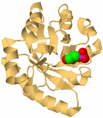 Image Biological Unit 7