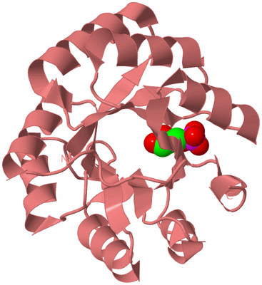 Image Biological Unit 8