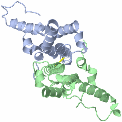 Image Biological Unit 3