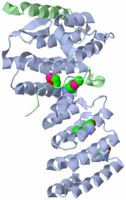 Image Biological Unit 1