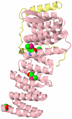 Image Biological Unit 2