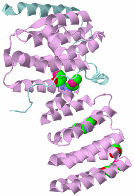 Image Biological Unit 3