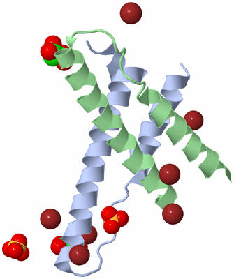 Image Biological Unit 1