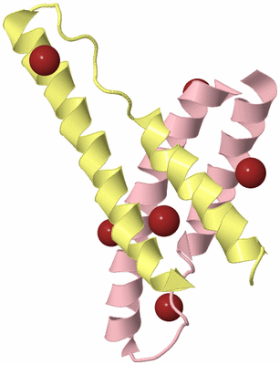 Image Biological Unit 2