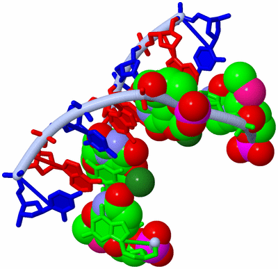 Image Biological Unit 1