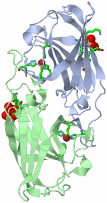 Image Asym./Biol. Unit - sites