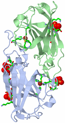 Image Asym./Biol. Unit - sites