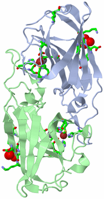 Image Asym./Biol. Unit - sites