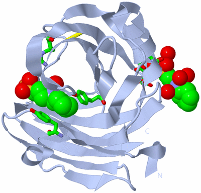 Image Biol. Unit 1 - sites