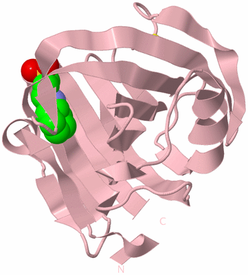 Image Biological Unit 3