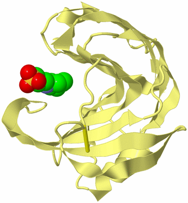 Image Biological Unit 4