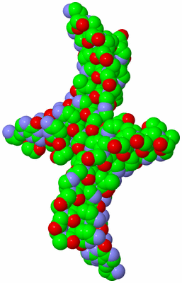 Image Asymmetric Unit