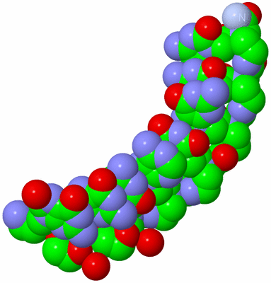 Image Biol. Unit 1 - sites