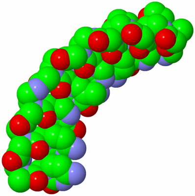 Image Biological Unit 4