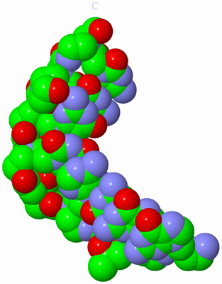 Image Biological Unit 1