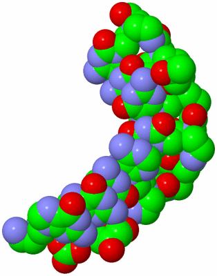 Image Biological Unit 4