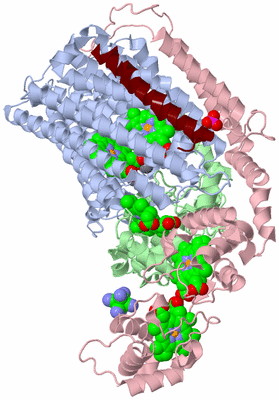 Image Biological Unit 1