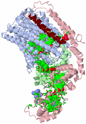 Image Biol. Unit 1 - sites