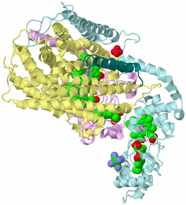 Image Biological Unit 2