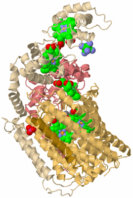 Image Biological Unit 3