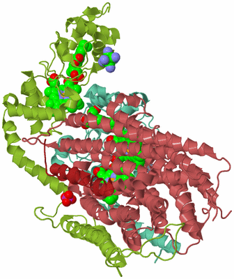 Image Biological Unit 4