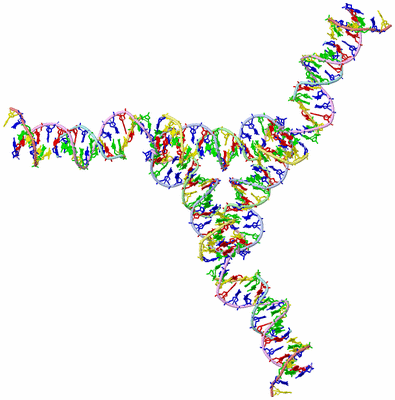 Image Biological Unit 1