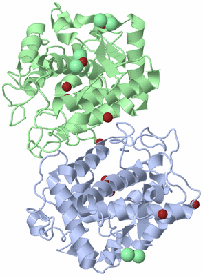 Image Asym./Biol. Unit