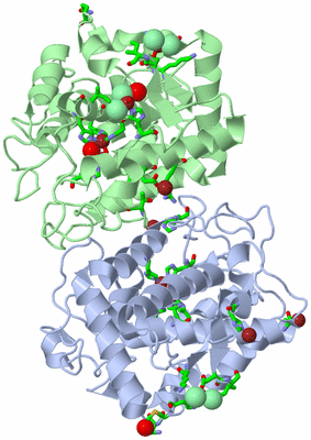 Image Asym./Biol. Unit - sites