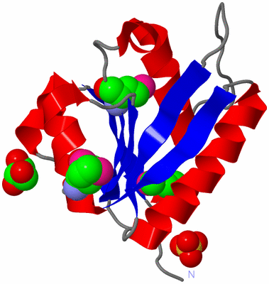 Image Asym./Biol. Unit