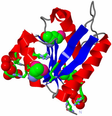 Image Asym./Biol. Unit - sites