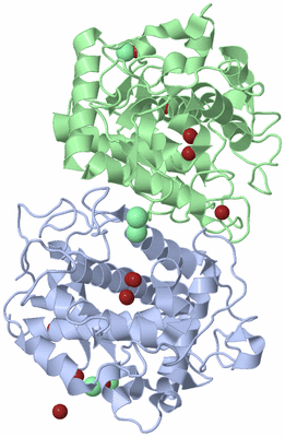 Image Asym./Biol. Unit