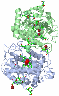 Image Asym./Biol. Unit - sites