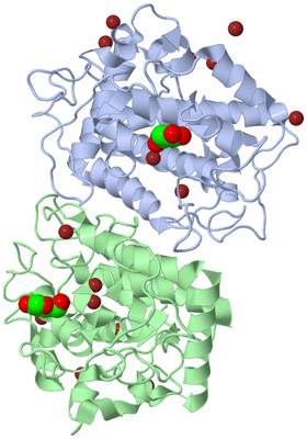 Image Asym./Biol. Unit