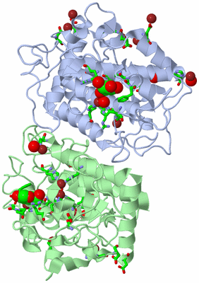 Image Asym./Biol. Unit - sites