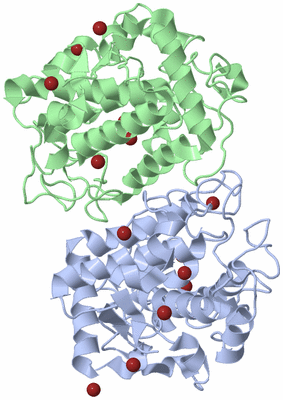 Image Asym./Biol. Unit