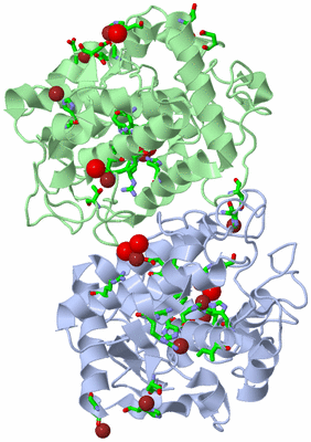 Image Asym./Biol. Unit - sites