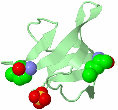 Image Biological Unit 3