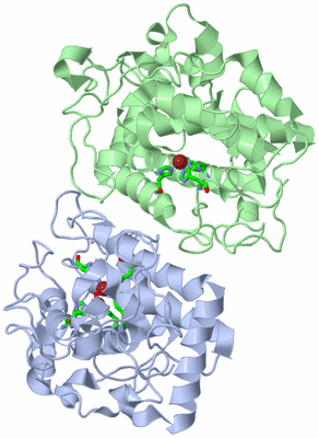 Image Asym./Biol. Unit - sites